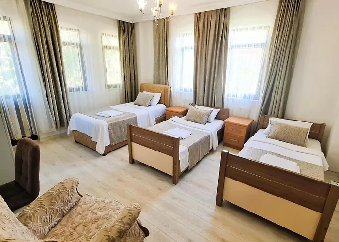 Apartament The Tulip