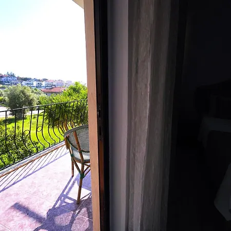 Apartament The Tulip