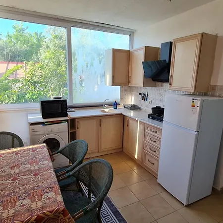 The Tulip Apartment