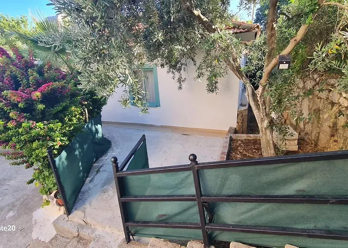 The Tulip Apartament