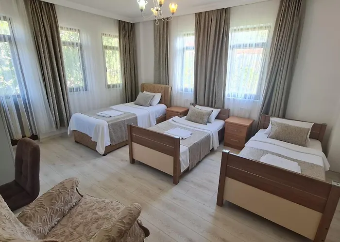 The Tulip * 费特希耶