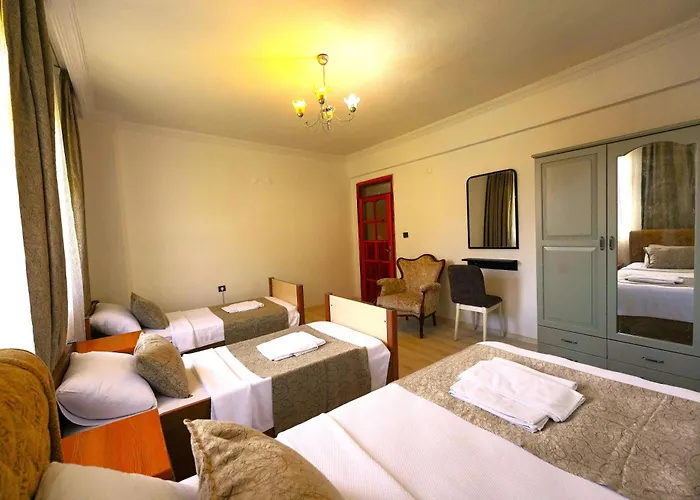 The Tulip 费特希耶