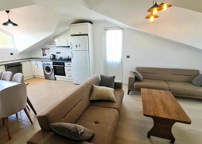 The Tulip 费特希耶