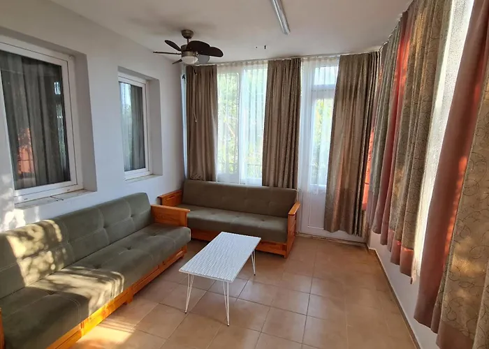 The Tulip * 费特希耶