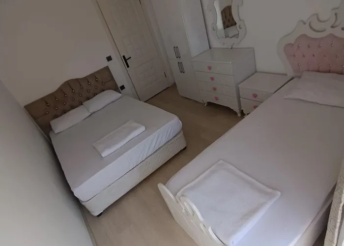 The Tulip 费特希耶